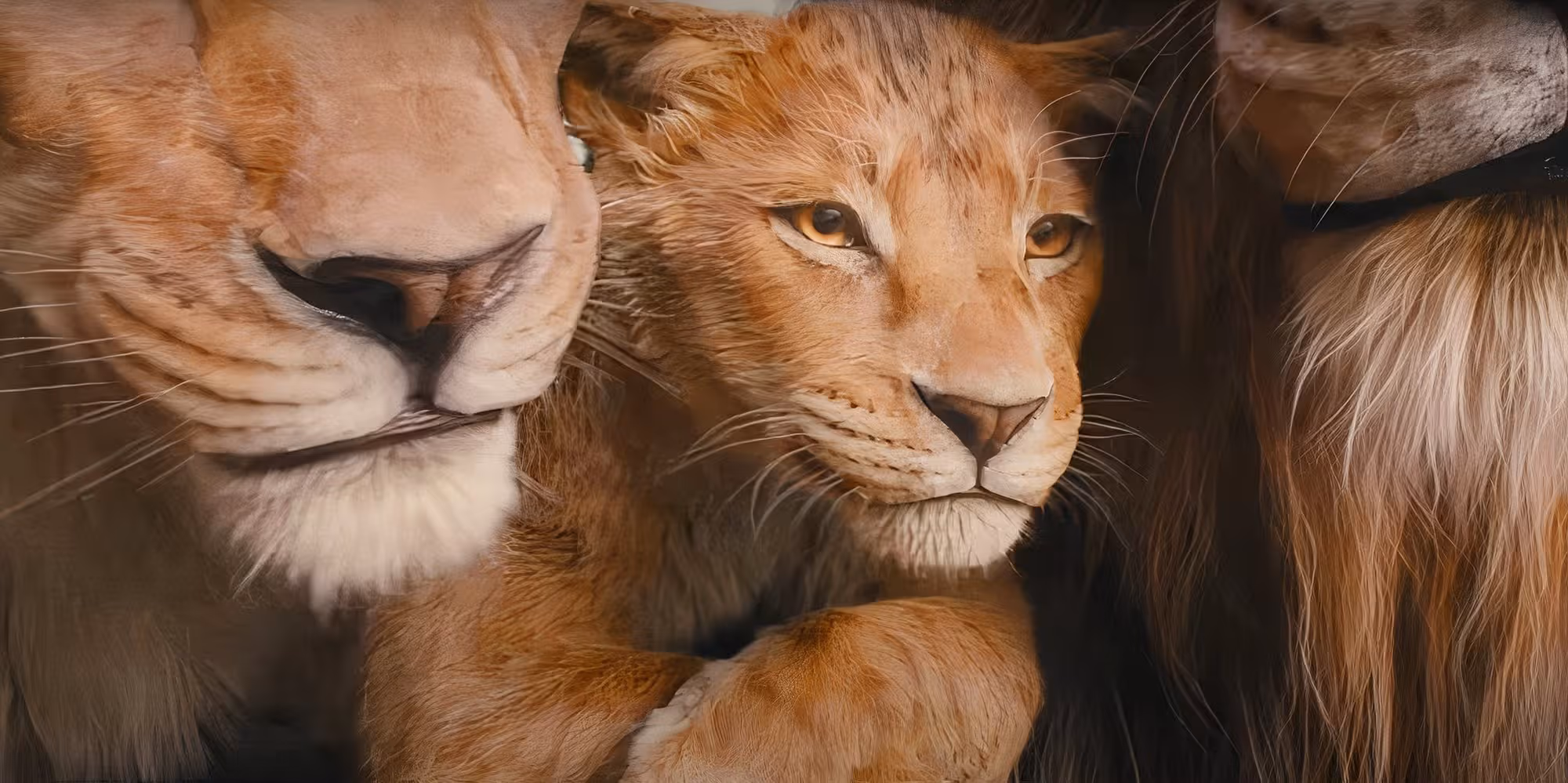 lion king 2024